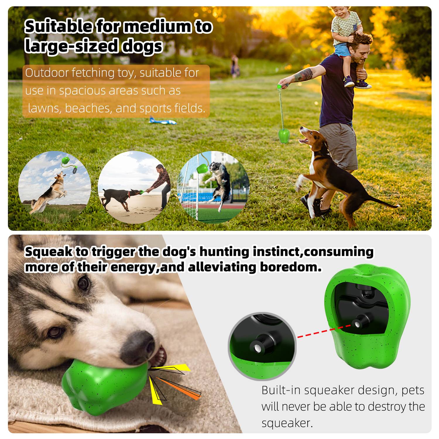 DtopbuyAge - Jouet de récupération pour chien avec corde DtopbuyAge - Image 5