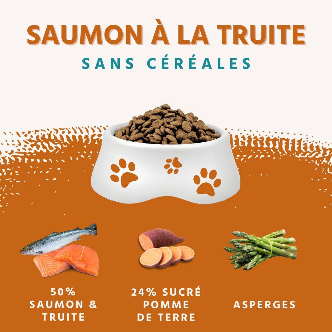 Wildfang - Wildfang - Coffret Gourmet Adulte - Aliments secs et humides - 3 x Saumon et truite / 2 x Bœuf - Image 2