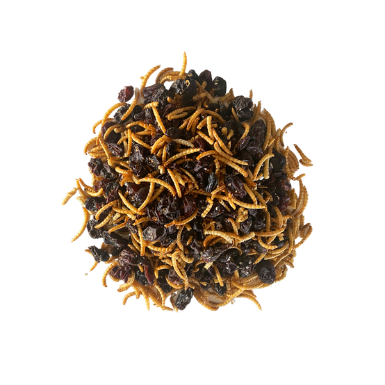 Mélange de vers de farine et de raisins secs pour oiseaux 200g - Invers - Imagen 2