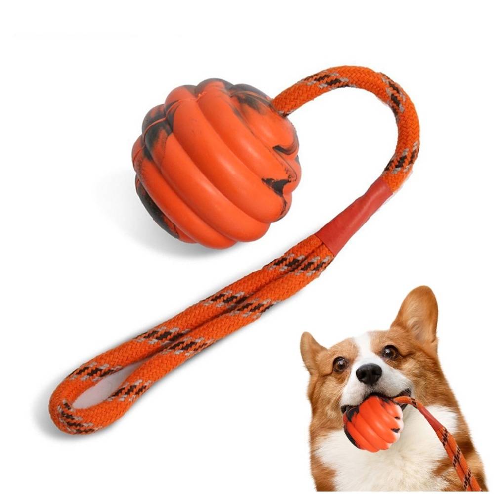 Lytech - Jouets de tir à la corde solides pour chiens boule orange fun - Lytech
