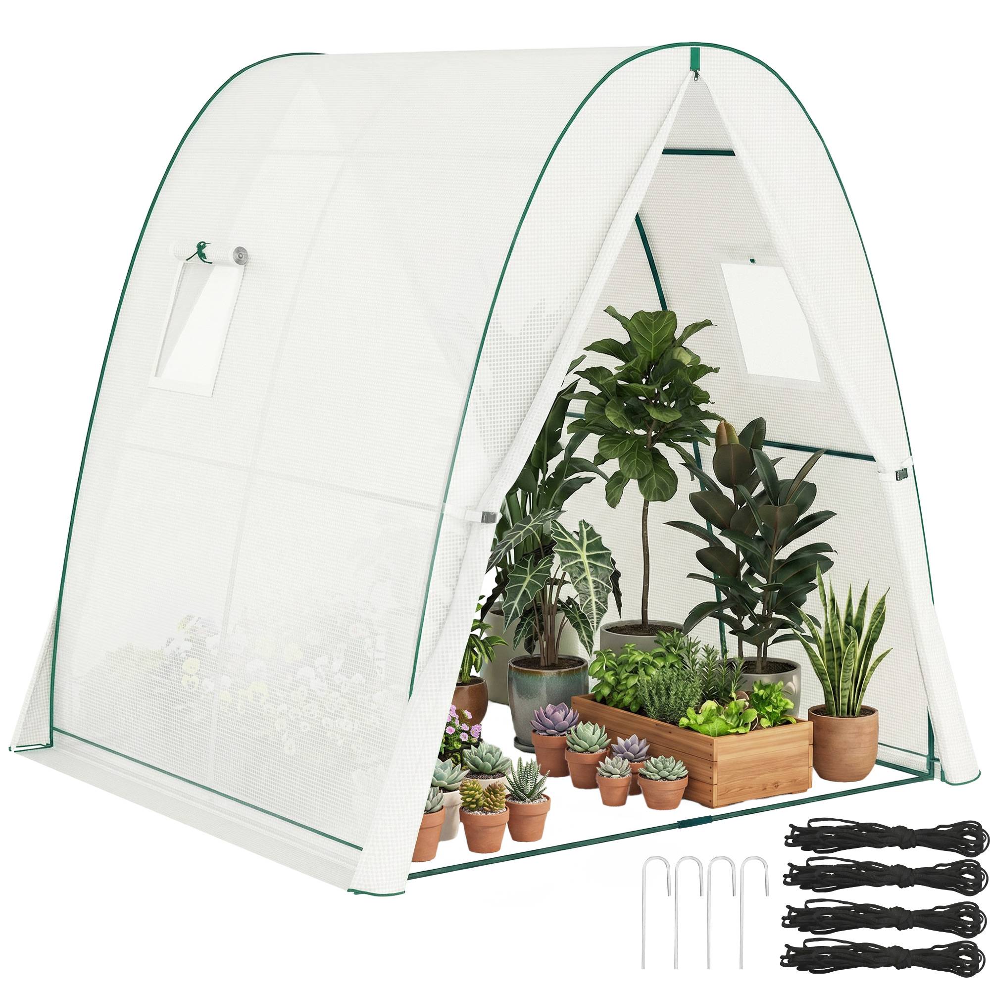 ComfortXL - Serre tunnel PE toit gothique extérieur aération optimale 180x180x200cm Blanc - ComfortXL Outdoor Living - Image 1