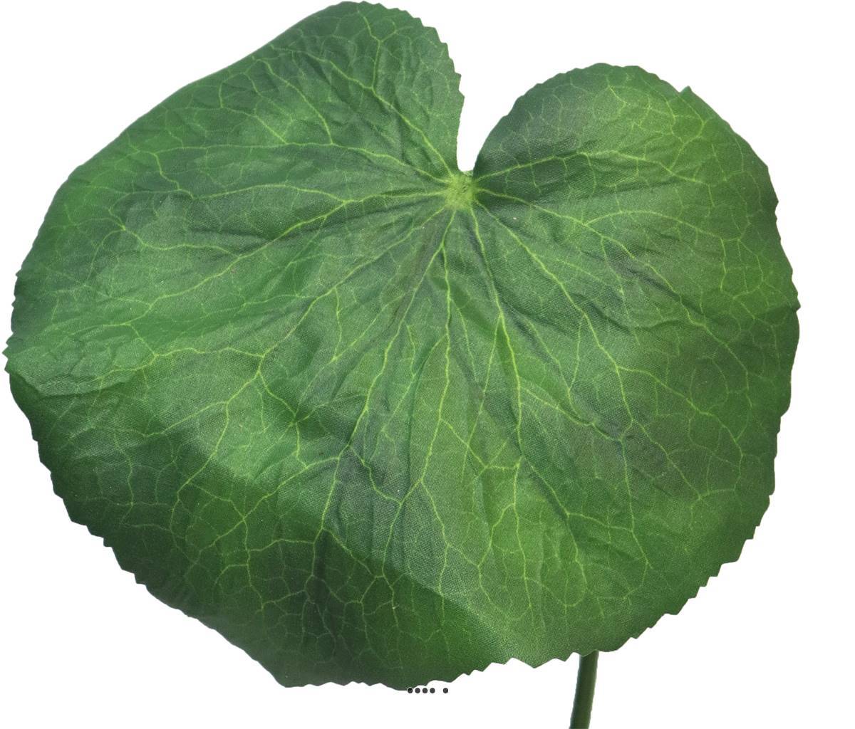 Artificielles - Feuilles de Galax artificielles, en lot de 20, D 10 cm - BEST - Imagen 4