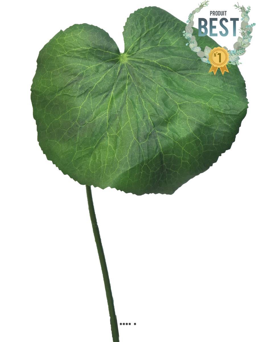 Artificielles - Feuilles de Galax artificielles, en lot de 20, D 10 cm - BEST - Imagen 1