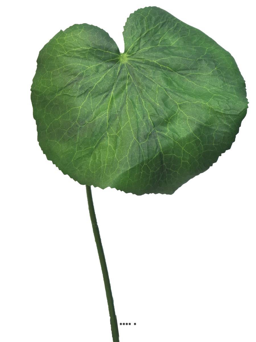 Artificielles - Feuilles de Galax artificielles, en lot de 20, D 10 cm - BEST - Imagen 2