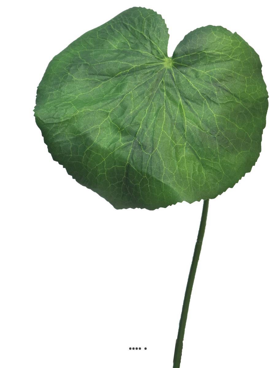 Artificielles - Feuilles de Galax artificielles, en lot de 20, D 10 cm - BEST - Imagen 3
