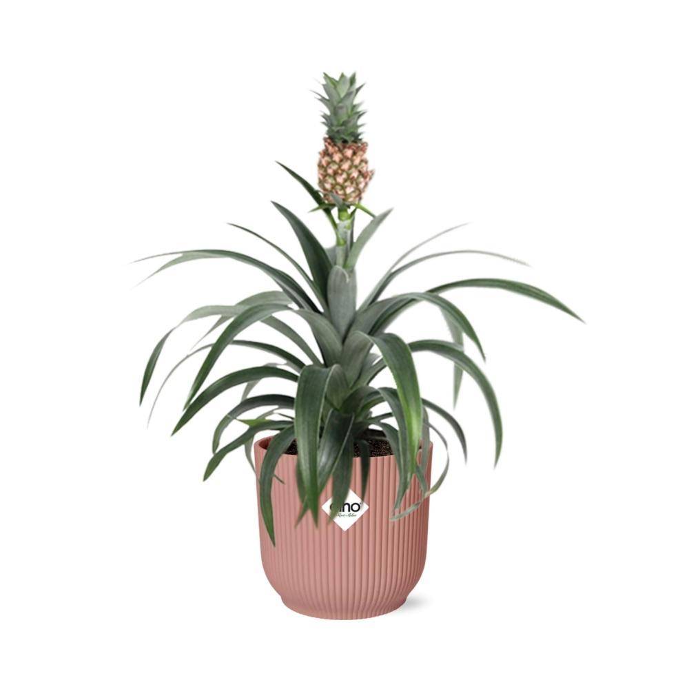 La Green Touch - Mother's Day - H40cm - Image 2