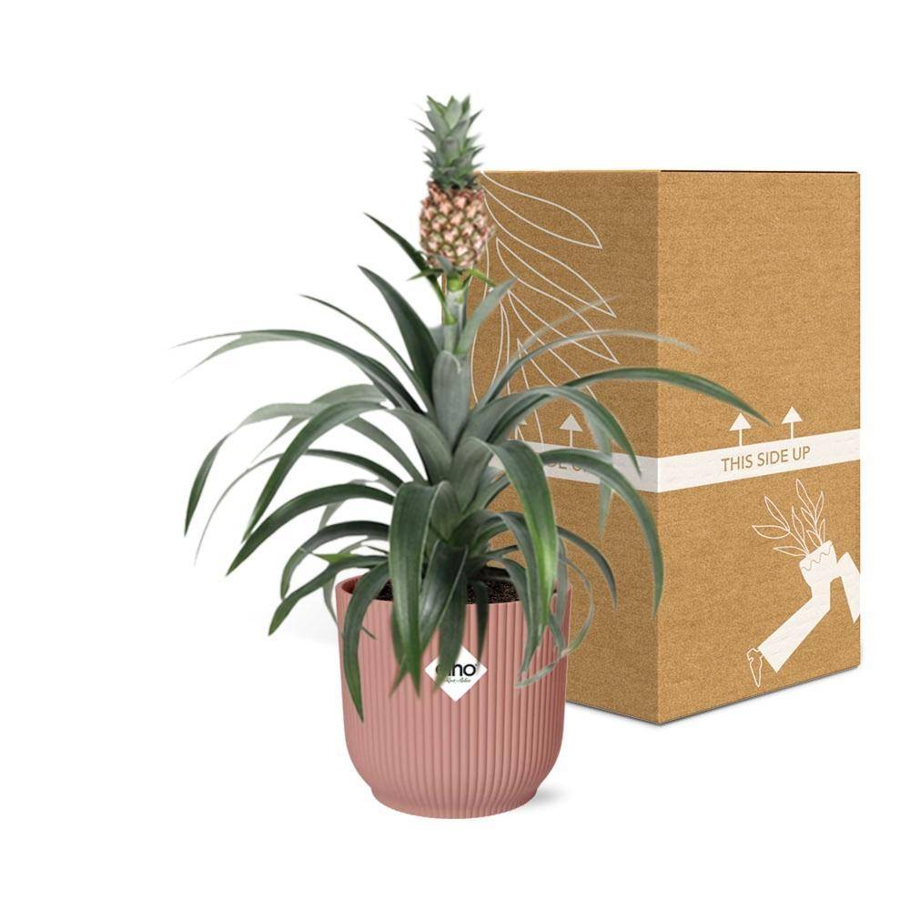 La Green Touch - Mother's Day - H40cm - Image 5
