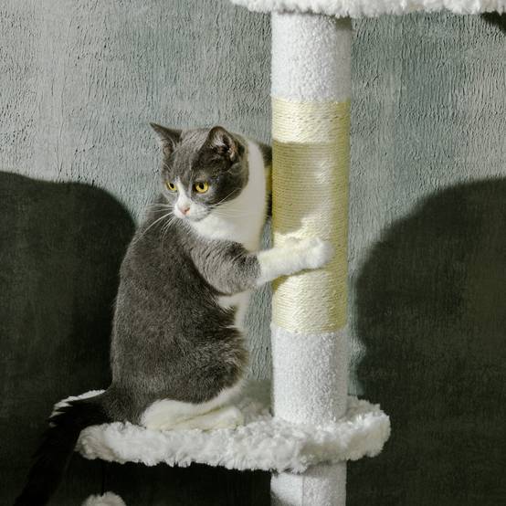 Arbre à chat plafond aggloméré et peluche blanc 48 x 32 x 225-255 cm - PANGIVO - Image 10