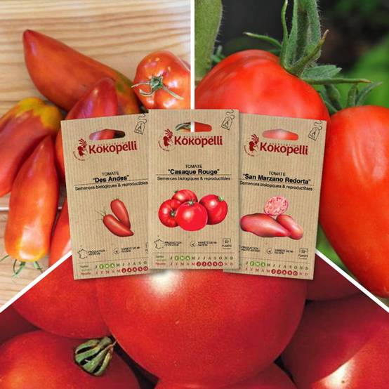 Tomates pour coulis - 3 sachets de graines bio à semer - Image 1