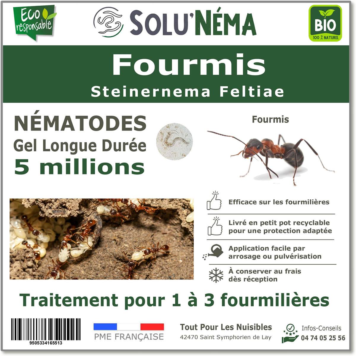 Tout pour les nuisibles - Solunéma - Fourmis - Traitement à base de Nématodes Steinernema feltiae (SF) 5 millions pour 1 à 3 fourmilières ou jusqu'à environ 10 m² - Image 1
