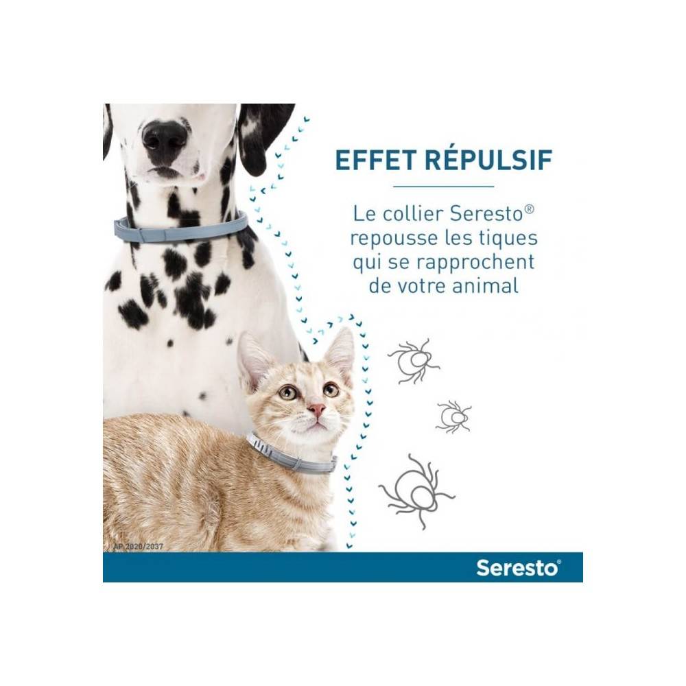 Bayer - Collier antiparasitaire chat - Seresto Collier x12 - Image 3