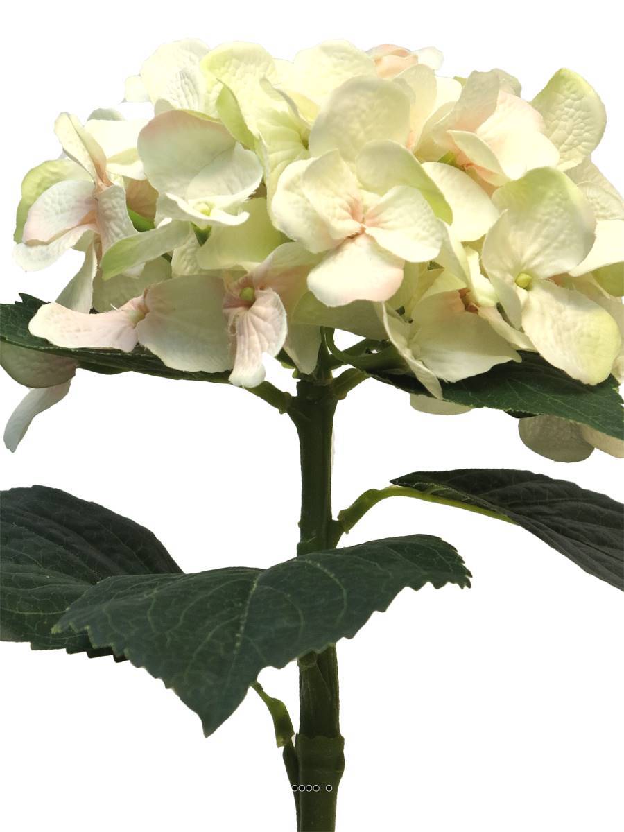 Artificielles - Hortensia artificiel en branche, H 48 cm Champagne - BEST - couleur: Sable - Imagen 3