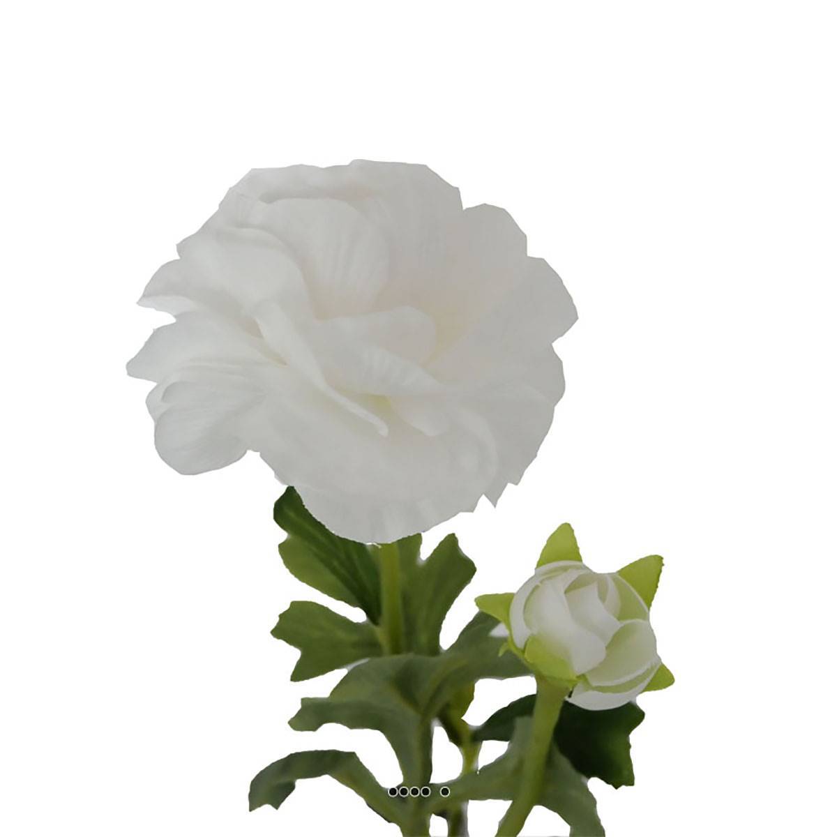 Artificielles - Renoncule artificielle en tige H 54 cm 2 têtes blanc - Imagen 3