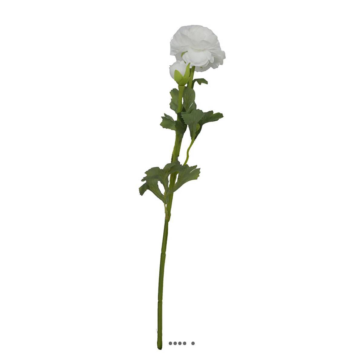 Artificielles - Renoncule artificielle en tige H 54 cm 2 têtes blanc - Imagen 1