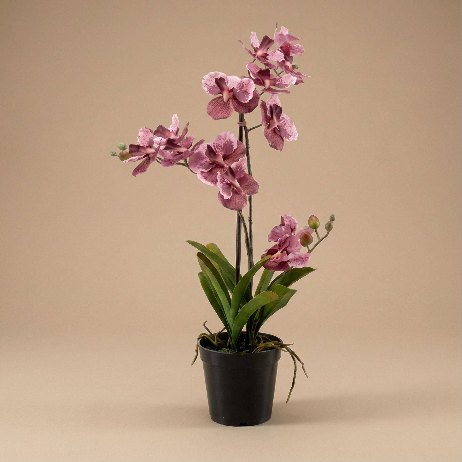 Orchidée Vanda 60 cm - vieux rose - Ø10cm - Plante artificielle - Image 1
