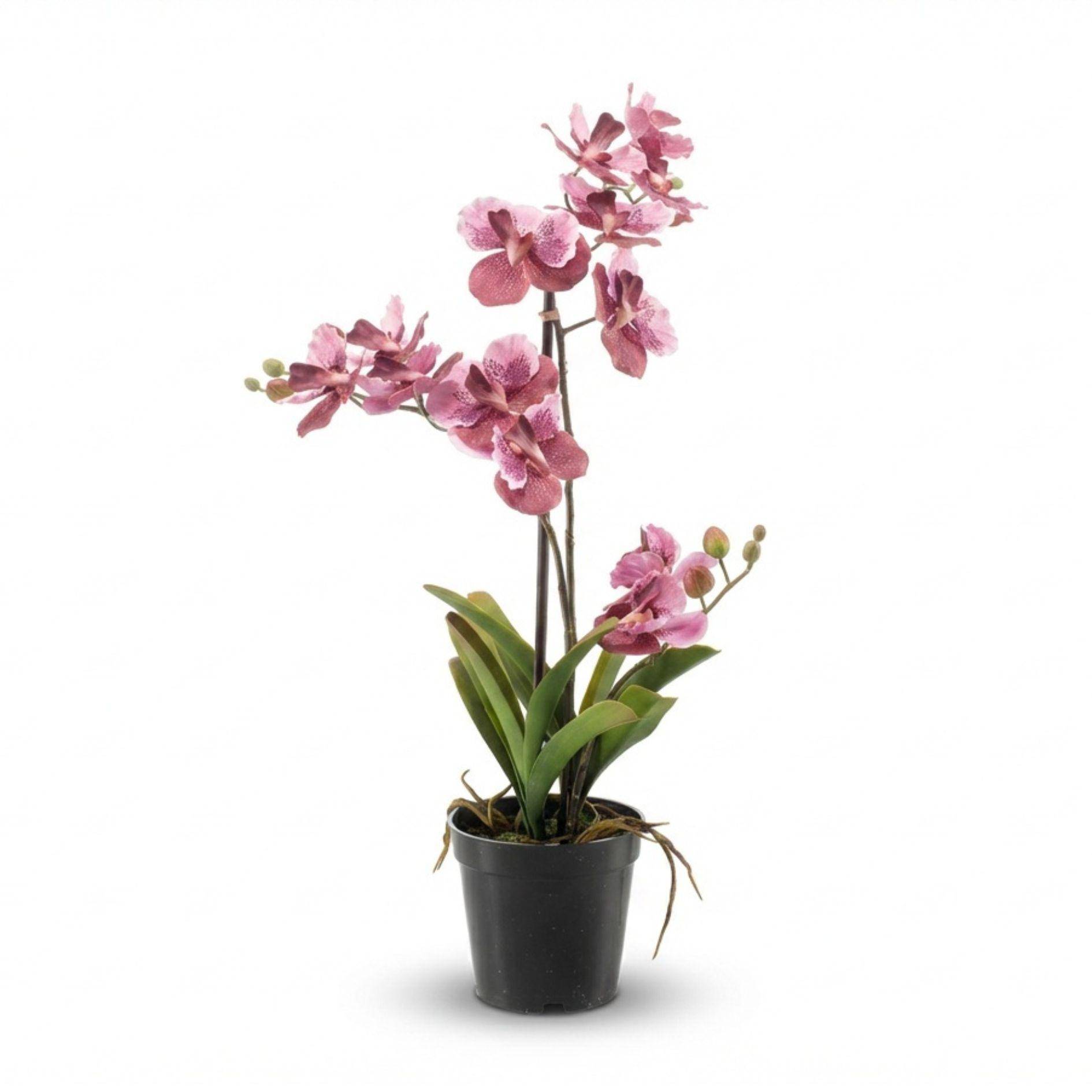 Orchidée Vanda 60 cm - vieux rose - Ø10cm - Plante artificielle - Image 2