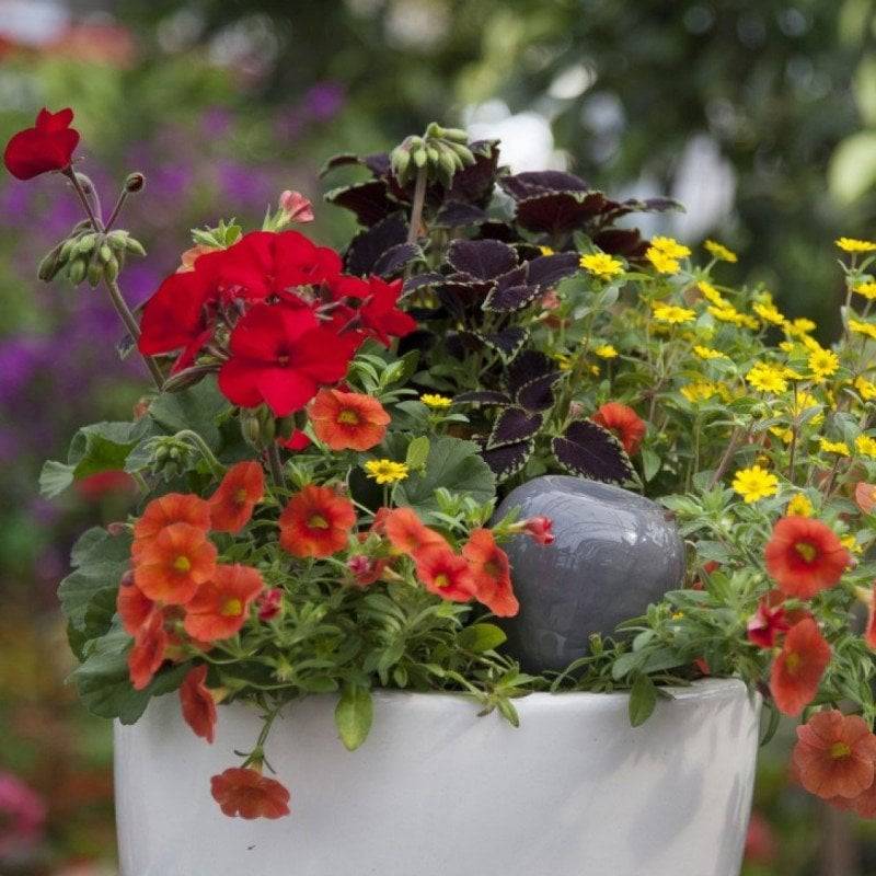 Ferme Du Moutta - Oya d'arrosage 30 cl en céramique faite main pour pots de fleurs, vert pomme - Image 3