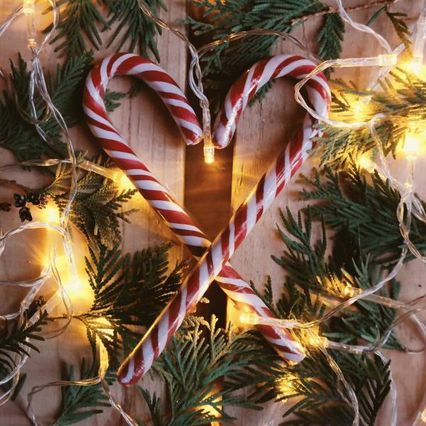 Lotti - Guirlande lumineuse 25M 360 miniLED blanc chaud 8 jeux de lumière câble transparent Lotti - Imagen 9