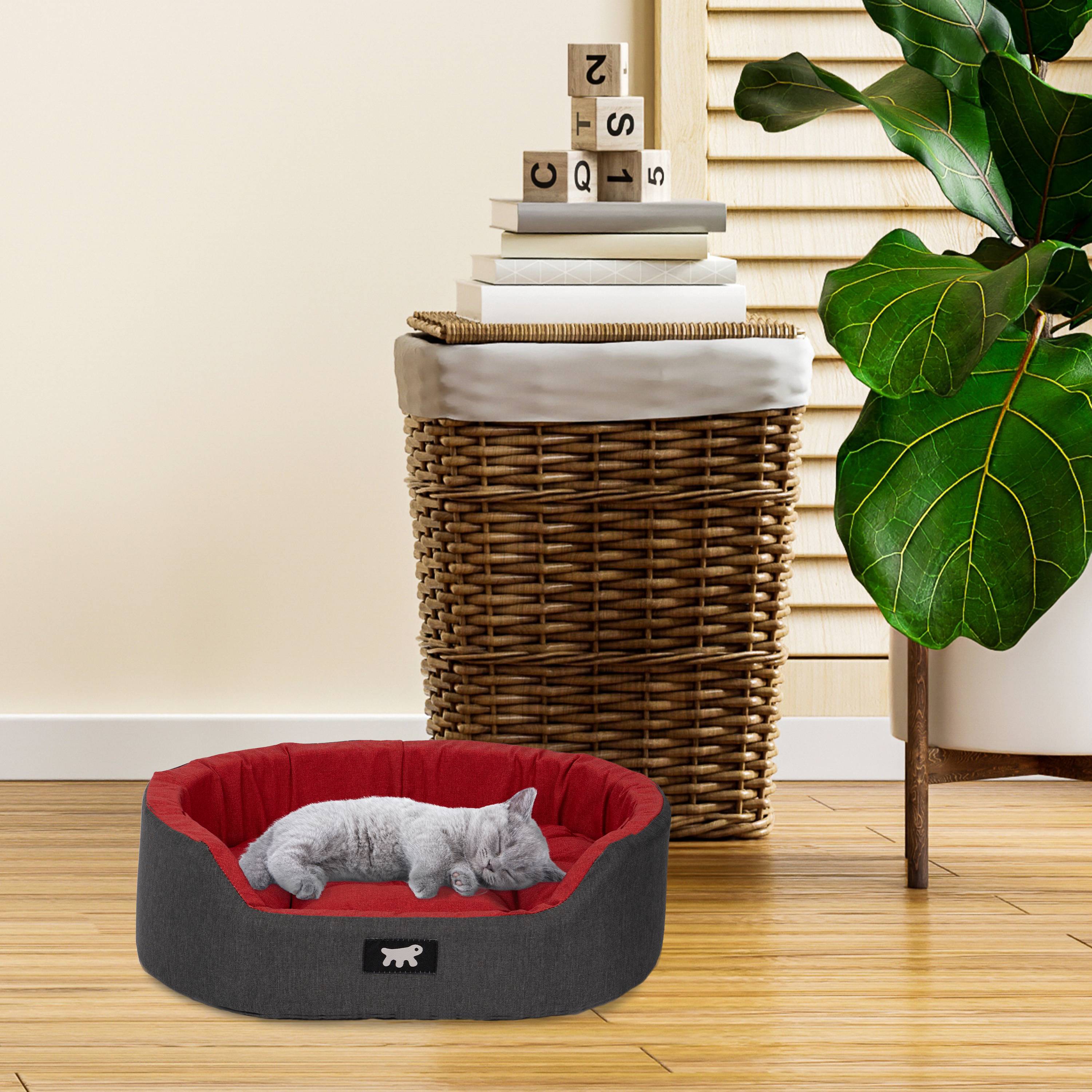Ferplast - Ferplast Panier Chien Dandy, Coussin Amovible et Lavable, Housse en Coton avec Rembourrage Doux, Idéale également comme Niche pour Chat, 55 x 41 x H - Imagen 3