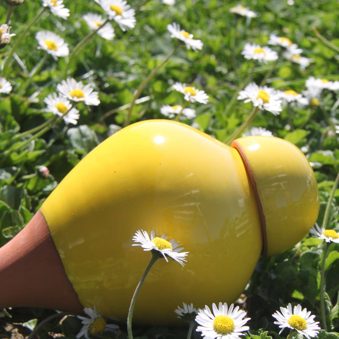Ollas Lutton - Ollas sabeur jaune - Imagen 2