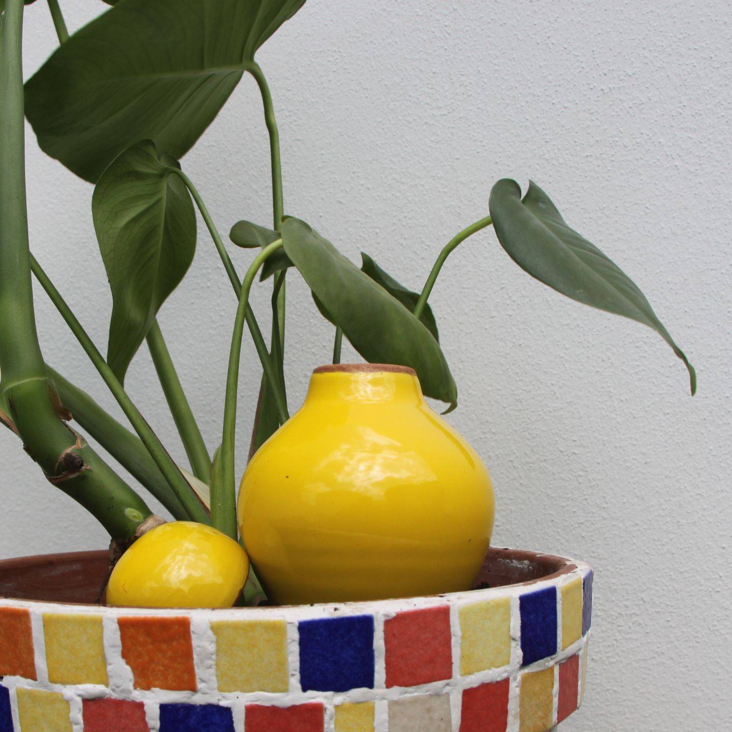 Ollas Lutton - Ollas sabeur jaune - Imagen 3