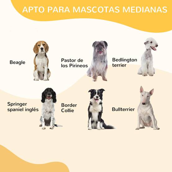 Parc Haut pour Chien Modulable 8 Panneaux Métal avec Porte Sécurisée 80x100 cm Noir - ComfortXL Outdoor Living - Image 9