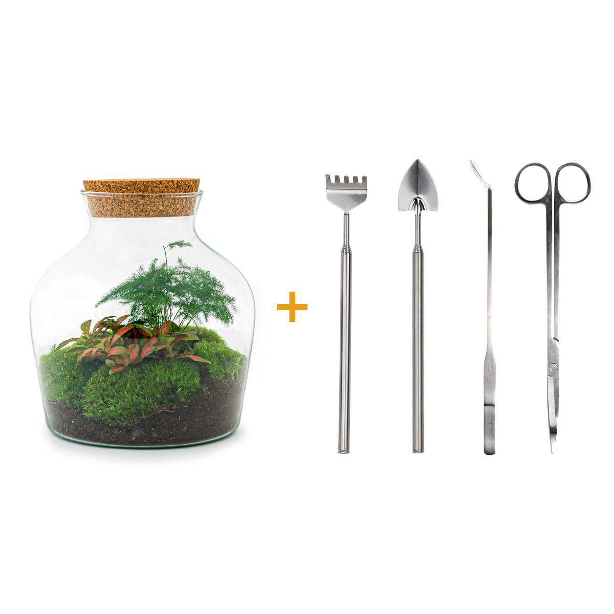 Diy Terrarium - D21 - Image 1