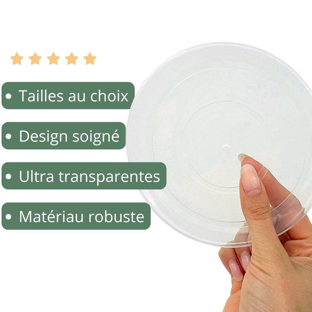 Pack de 50 Soucoupes transparentes pour plantes - Soucoupes rigides - Coupelles pour plantes - Image 3