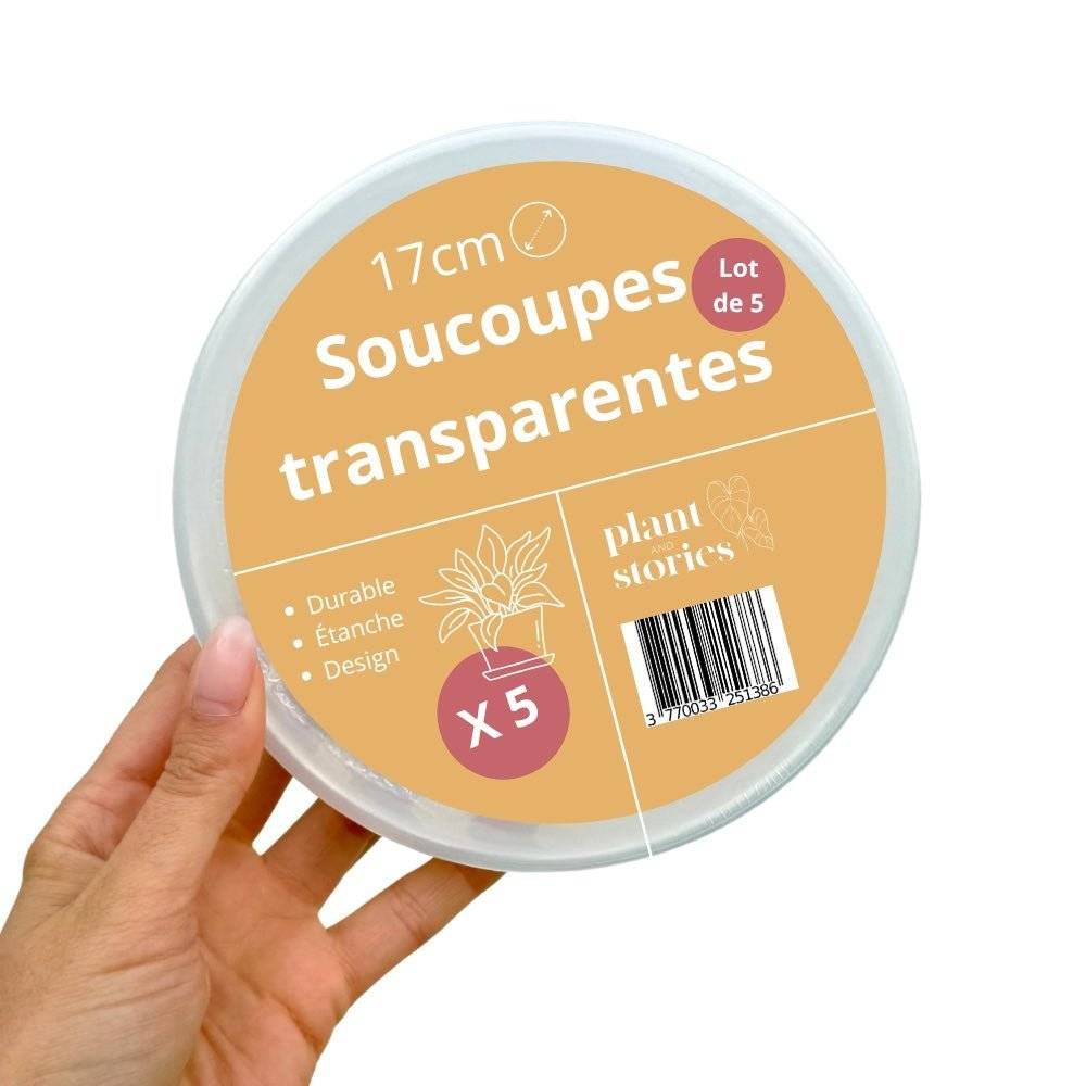 Pack de 50 Soucoupes transparentes pour plantes - Soucoupes rigides - Coupelles pour plantes - Image 10