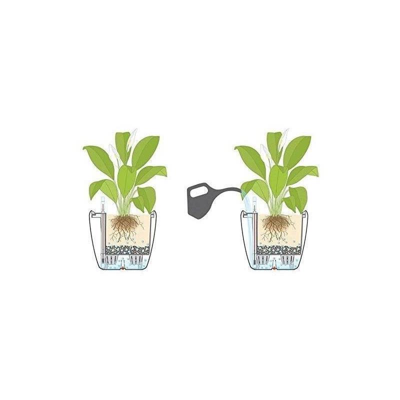 Lechuza - Pot De Fleur Lechuza Classico Premium Ls 50 - Kit Complet, Anthracite Métallisé - Imagen 4