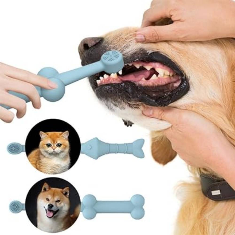 Lot De 2 Brosses À Dents En Silicone Poisson Os Bleu Pour Animaux - Image 2