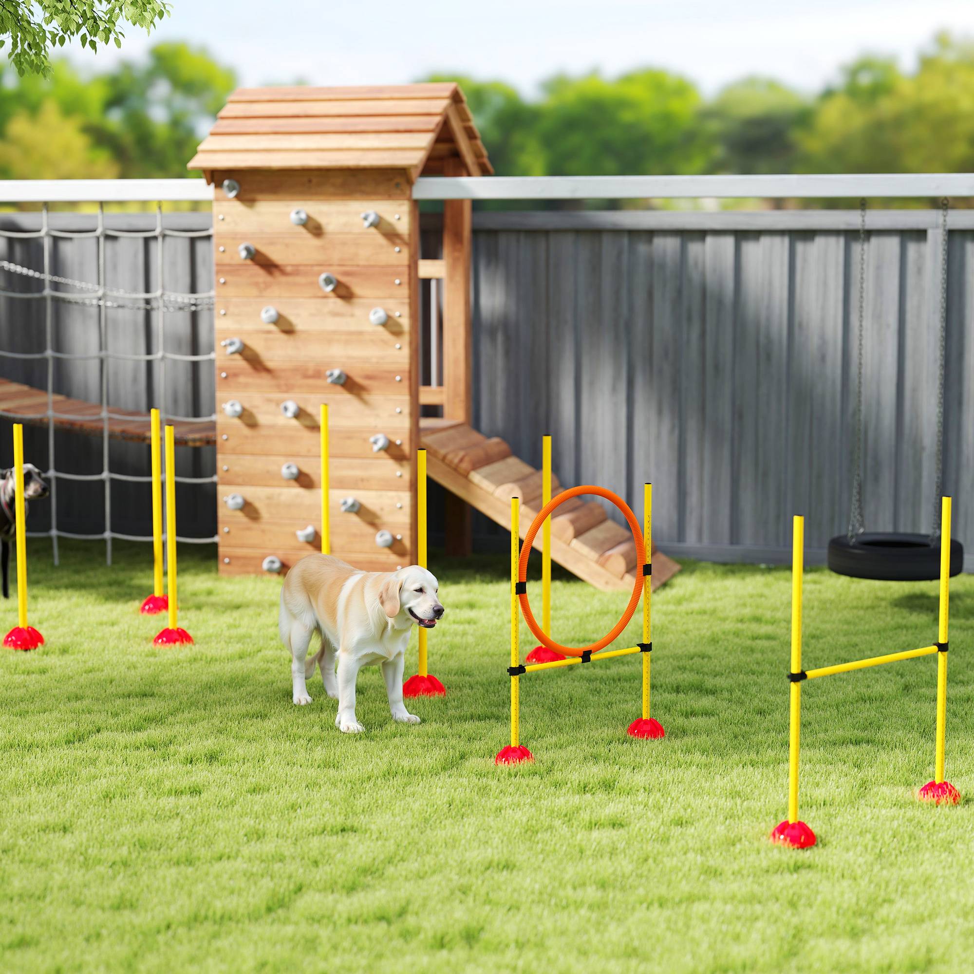 Kit d'agility pour chien plastique orange et jaune 124 x 19.5 x 103 cm - PANGIVO - Image 4
