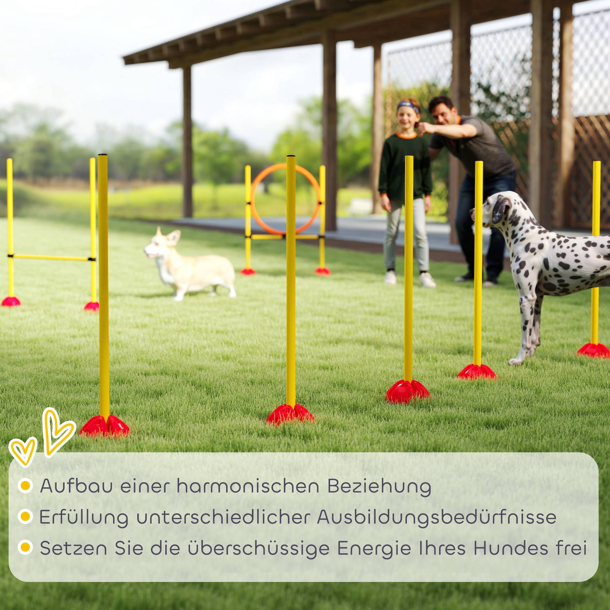 Kit d'agility pour chien plastique orange et jaune 124 x 19.5 x 103 cm - PANGIVO - Image 9