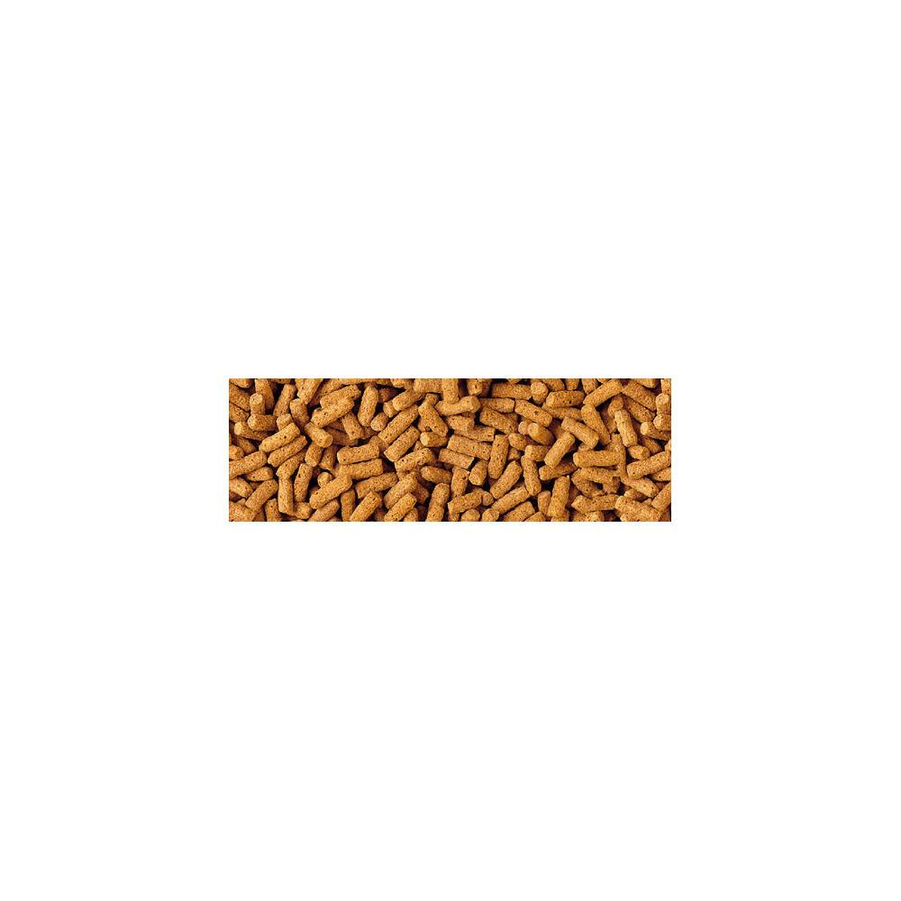 Tetra - Wheatgerm Sticks 200g-1L aliments poisson saison froide Tetra Pond - Imagen 3