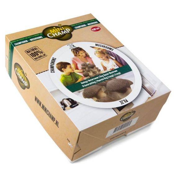 mini champ - Kit culture champignons bruns Minichamp 7.5 litres
