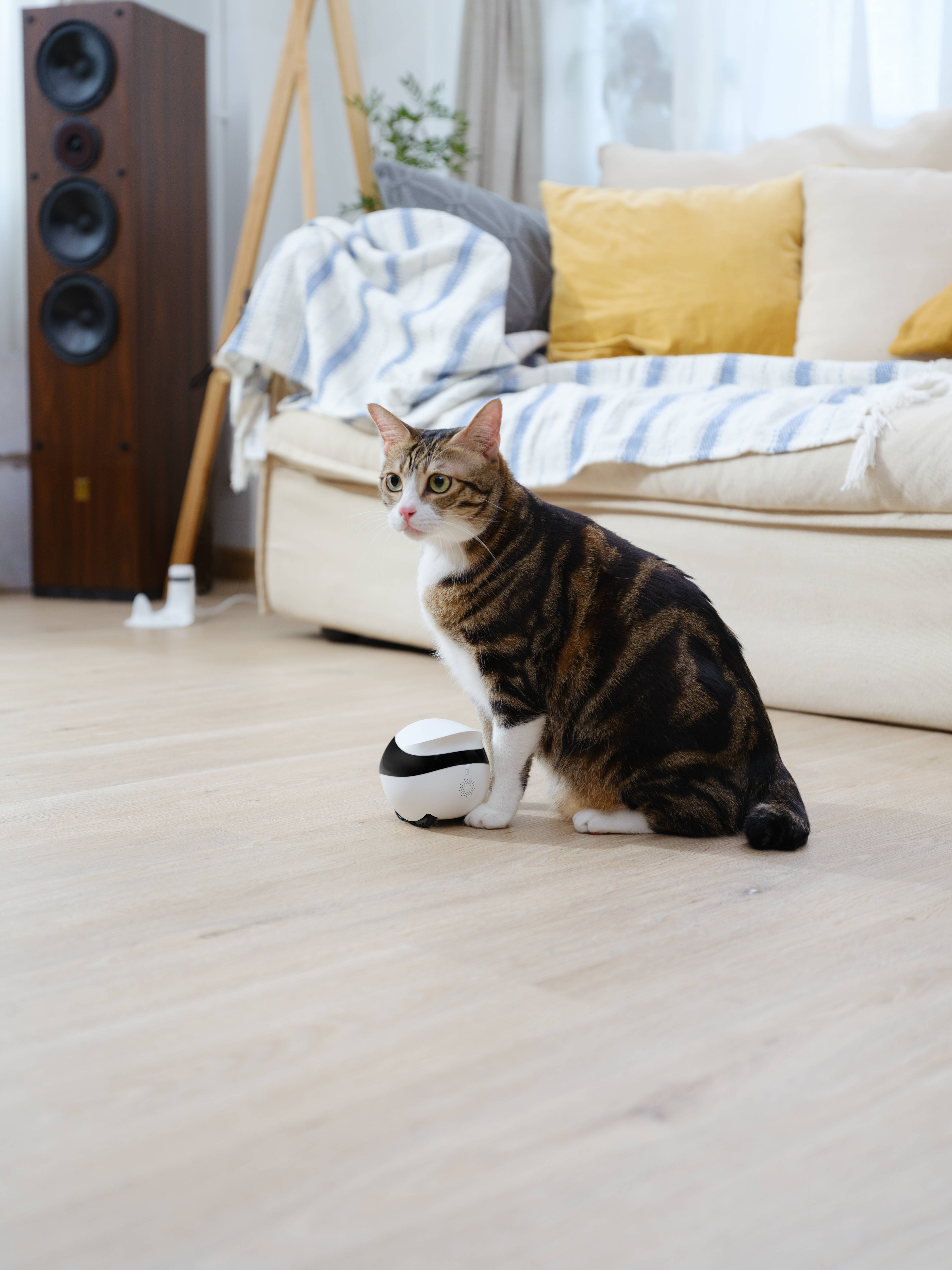 Enabot EBO SE Caméra Robotique pour Animaux - Image 5