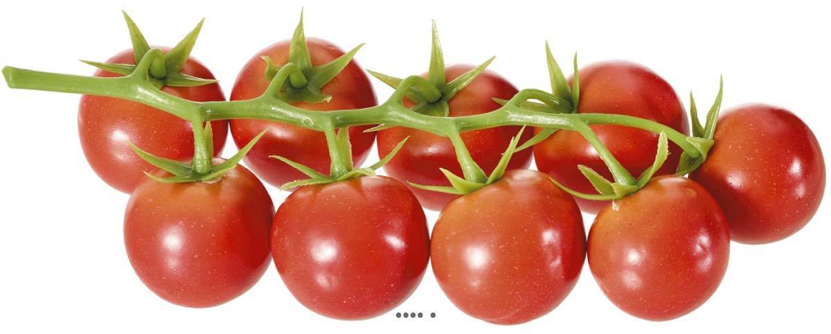 Artificielles - Grappe de 9 petites tomates artificielles en plastique D 20x10 cm Rouge - Imagen 1