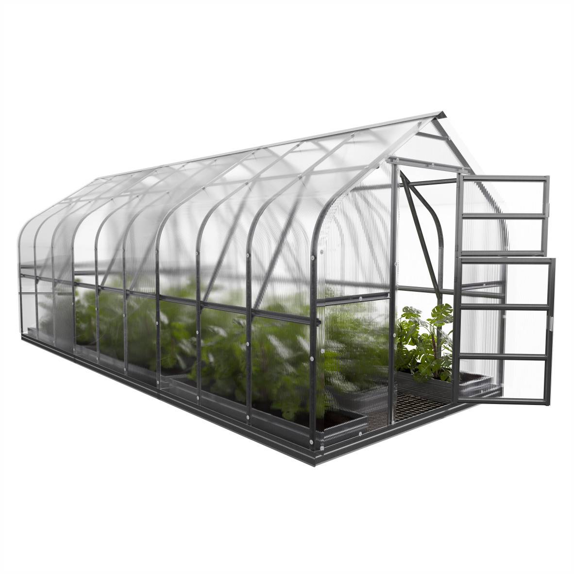 KLASIKA GREENHOUSES - Serre KLASIKA Standard 15m2, 2,5m x 6m, 4 mm avec revêtement en polycarbonate (Avec 3 toits ouvrants automatiques) - Image 4
