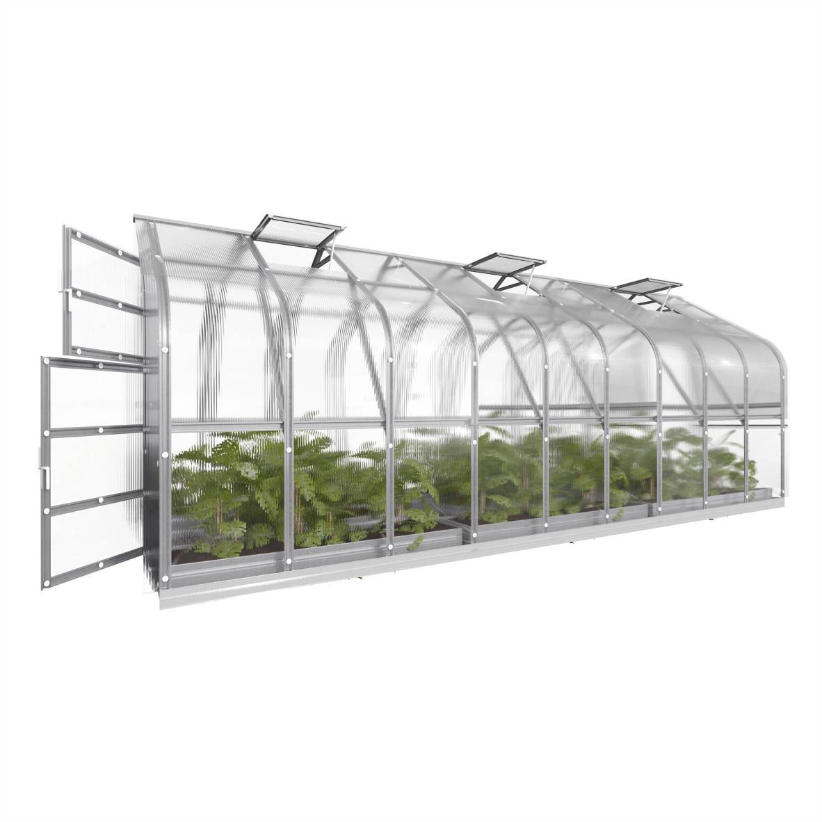 KLASIKA GREENHOUSES - Serre KLASIKA Standard 15m2, 2,5m x 6m, 4 mm avec revêtement en polycarbonate (Avec 3 toits ouvrants automatiques) - Image 5