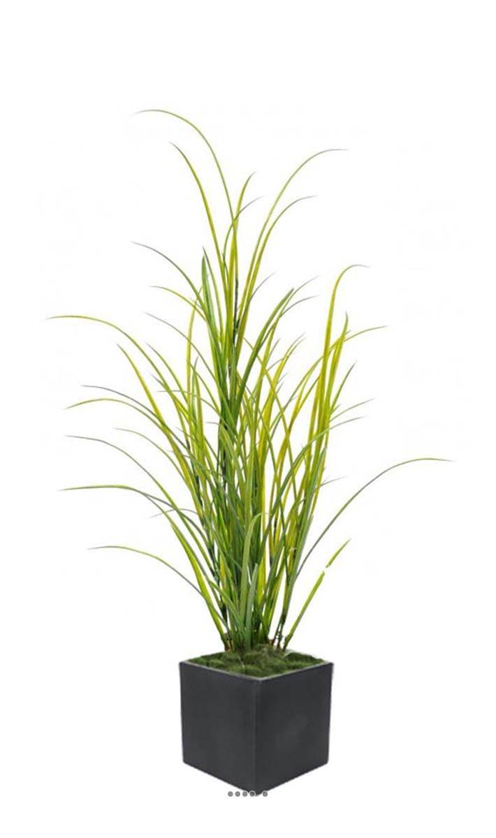 Artificielles - Graminée Herbe des champs factice H100cm L45cm plastique ext. en pot