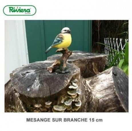 Riviera - Mésange sur branche - Imagen 2