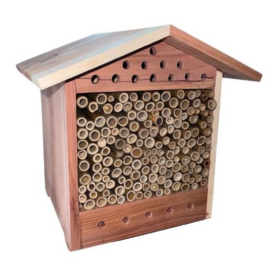 Ediza - Maison des abeilles en RED CEDAR