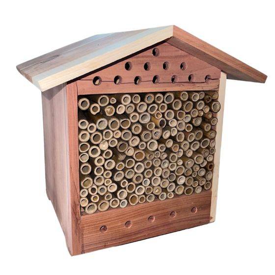 Ediza - Maison des abeilles en RED CEDAR