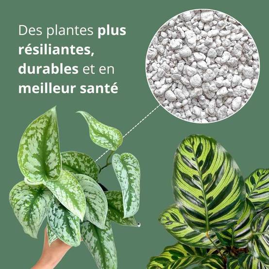 Perlite Horticole - Perlite pour plante - 10L - Image 6