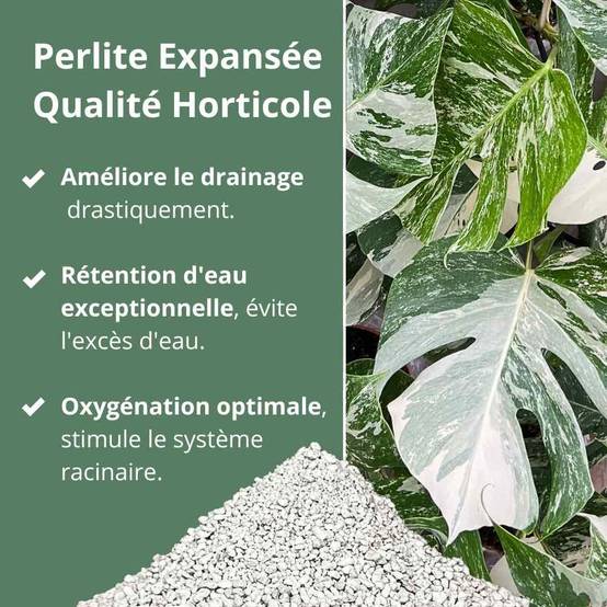 Perlite Horticole - Perlite pour plante - 10L - Image 3