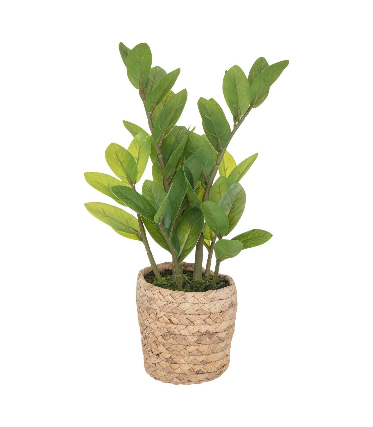 Plante artificielle Zamio en pot H 41 cm - Imagen 1