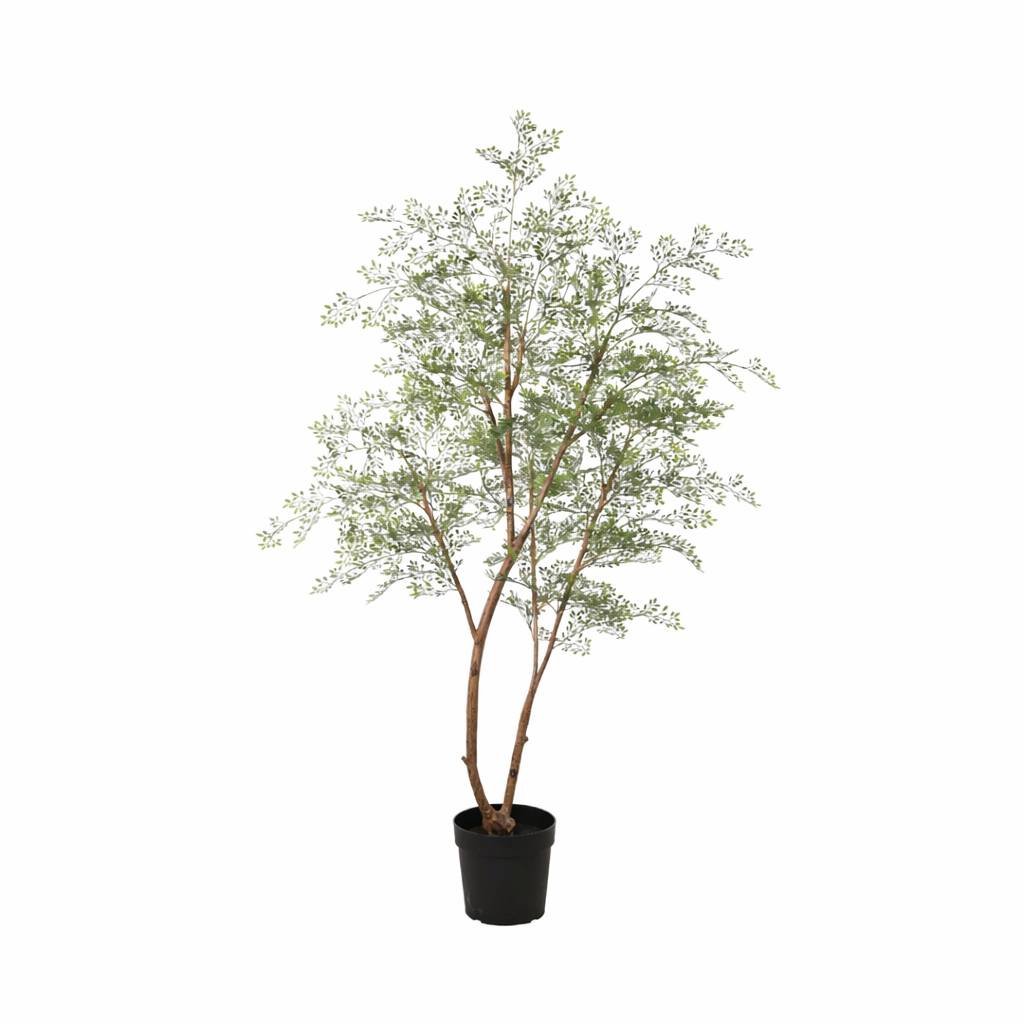 PANGIVO - Cassia artificiel plastique vert 60 x 60 x 180 cm - PANGIVO - Image 1