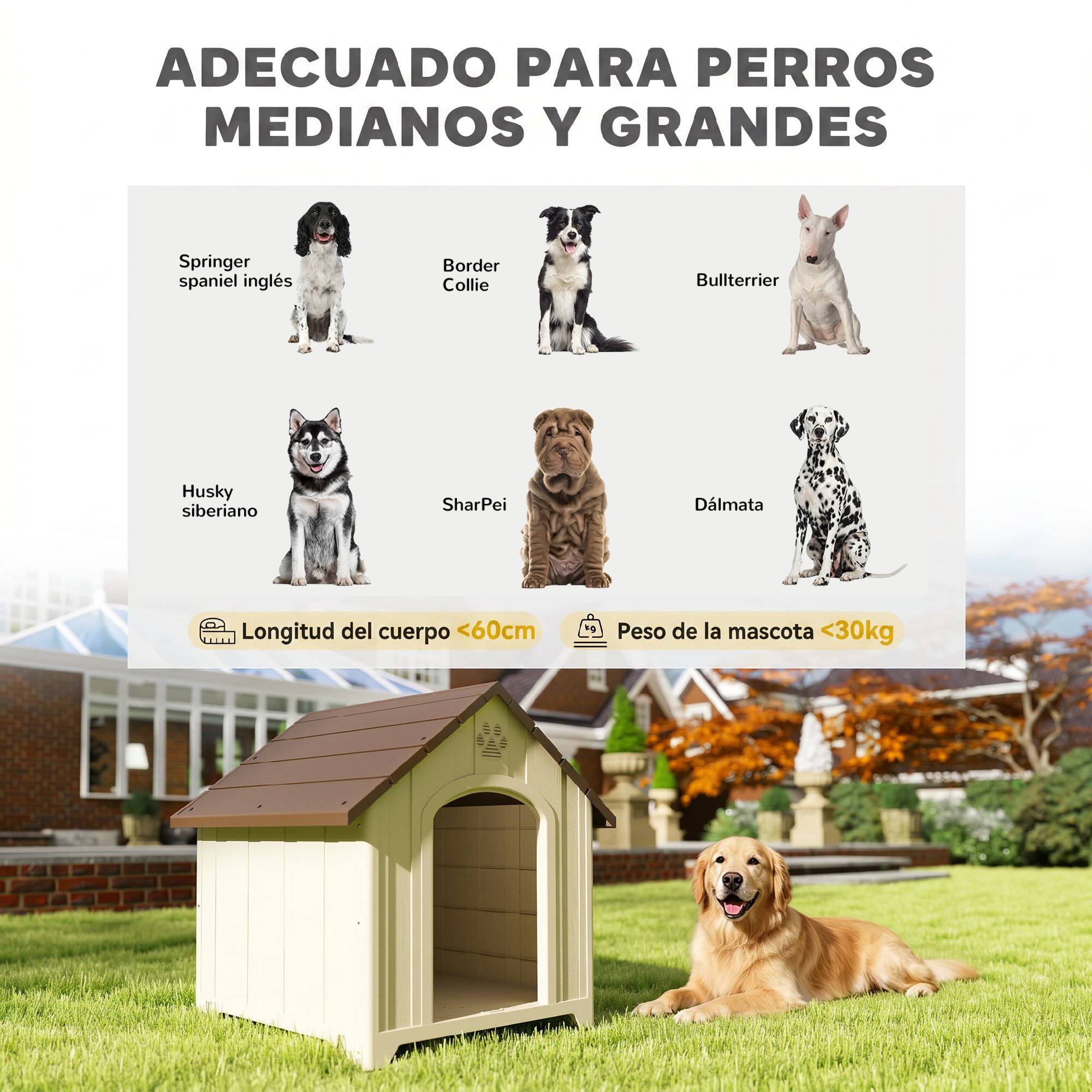 Niche extérieure en plastique, grand chien, 2 fenêtres, base surélevée, piquets, beige - Image 7
