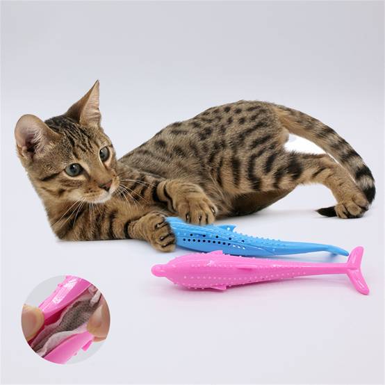 Brosse à dents pour chat DtopbuyAge - Image 2