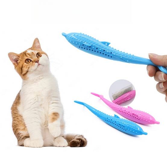 Brosse à dents pour chat DtopbuyAge - Image 1